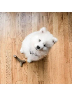 Jouets à Mâcher X2 Maplestick Et Zaggler Petit Chien Benebone -Chien Produits Boutique jouets a macher x2 maplestick zaggler petit chien benebone 3