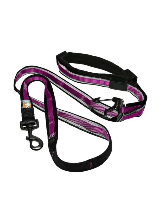 Laisse 6 En 1 Quantum Kurgo 1 Laisse 6 En 1 Quantum Kurgo