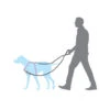 Laisse Anti-traction Easy Walk Petsafe
