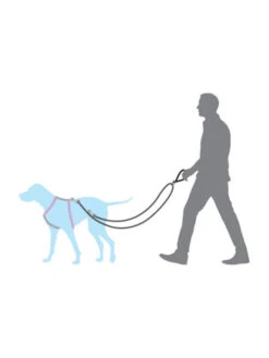 Laisse Anti-traction Easy Walk Petsafe -Chien Produits Boutique laisse anti traction easy walk petsafe 3