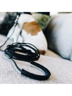 Laisse D’entraînement Pour Chien En Caoutchouc Souple Kentucky