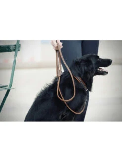 PÉNÉLOPE Laisse En Cuir Rond Pénélope