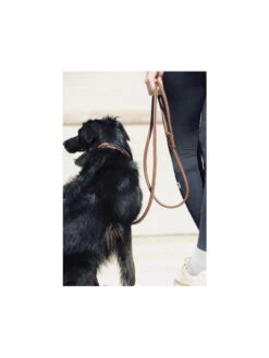 PÉNÉLOPE Laisse En Cuir Rond Pénélope -Chien Produits Boutique laisse en cuir rond penelope 3