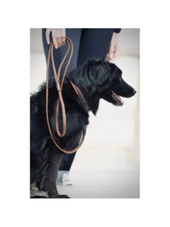 PÉNÉLOPE Laisse En Cuir Rond Pénélope -Chien Produits Boutique laisse en cuir rond penelope 4