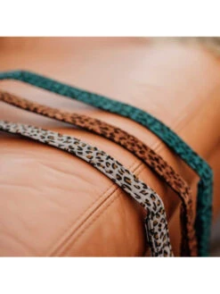 Laisse Léopard Kentucky -Chien Produits Boutique laisse leopard kentucky 2
