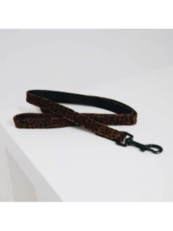 Laisse Léopard Kentucky -Chien Produits Boutique laisse leopard kentucky 4