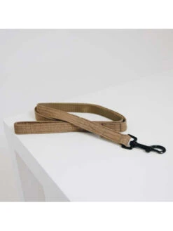 Laisse Lizard Kentucky