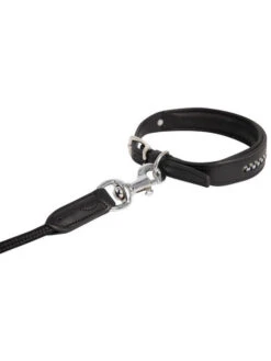 Laisse Pour Chien Antarès 10 Laisse Pour Chien Antarès -Chien Produits Boutique laisse pour chien antares 2