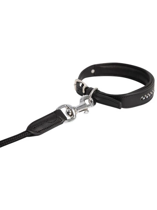 Laisse Pour Chien Antarès 3 Laisse Pour Chien Antarès – Image 3