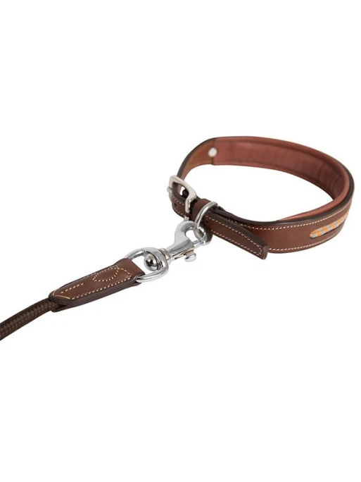 Laisse Pour Chien Antarès 1 Laisse Pour Chien Antarès