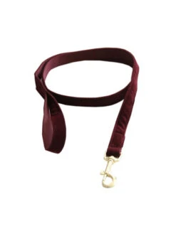 Laisse Pour Chien Corduroy Kentucky