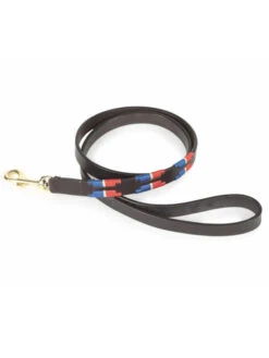 Laisse Pour Chien Digby & Fox