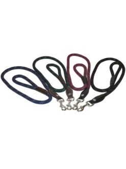 Laisse Pour Chien En Corde Canter