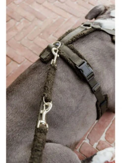 Laisse Pour Chien Teddy Fleece Small 2m Kentucky