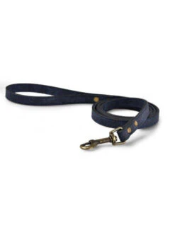 Laisse Preppy Bubimex