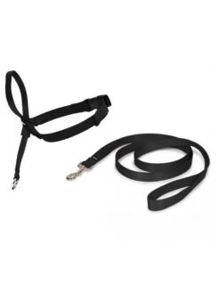 PetSafe Licol Easy Walk Noir