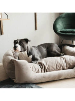 Lit Pour Chien Velvet Kentucky -Chien Produits Boutique lit pour chien velvet kentucky 2