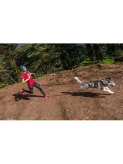 Longe De Traction Raidlight I-Dog -Chien Produits Boutique longe de traction raidlight i dog 2