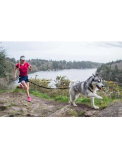 Longe De Traction Raidlight I-Dog