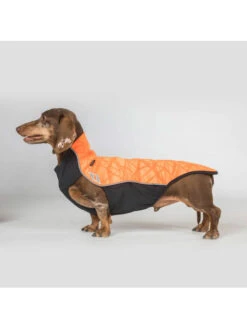 Pull Pour Chien Eddie Haute Visibilité Back On Track -Chien Produits Boutique manteau chien queue haute bark back on track 2