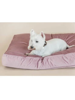 Matelas Pour Chien Velvet Kentucky -Chien Produits Boutique matelas pour chien velvet kentucky 2