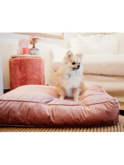 Chien Produits Boutique 20 Matelas Pour Chien Velvet Kentucky