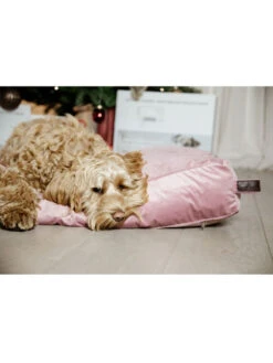 Matelas Pour Chien Velvet Kentucky -Chien Produits Boutique matelas pour chien velvet kentucky 3