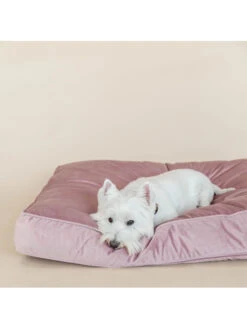 Matelas Pour Chien Velvet Kentucky -Chien Produits Boutique matelas pour chien velvet kentucky 6