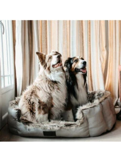 Panier Cave Kentucky -Chien Produits Boutique panier cave kentucky 2