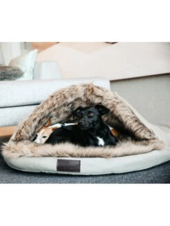 Panier Igloo Kentucky -Chien Produits Boutique panier igloo kentucky 2