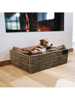 Panier Pour Chien Basket Kentucky -Chien Produits Boutique panier pour chien basket kentucky 3