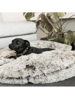 Panier Pour Chien Confort Donut Kentucky -Chien Produits Boutique panier pour chien confort donut kentucky 2