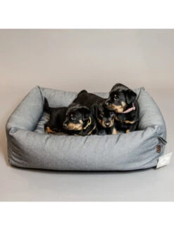 Panier Pour Chien Soft Sleep Kentucky -Chien Produits Boutique panier pour chien soft sleep kentucky 2