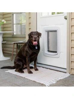Porte Connectée SmartDoor Petsafe -Chien Produits Boutique porte connectee smartdoor petsafe habitacle animal 4