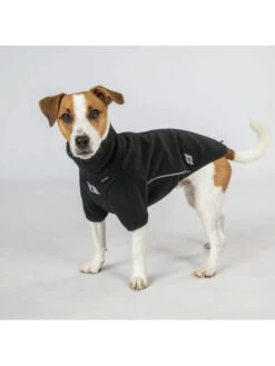 Pull Pour Chien Cassie Back On Track -Chien Produits Boutique pull pour chien cassie back on track 4