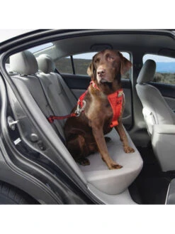 Kurgo Sangle D'attache De Sécurité Swivel Pour Chien -Chien Produits Boutique sangle d attache de securite swivel pour chien 2