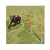 Rosewood Slalom Agility Garden