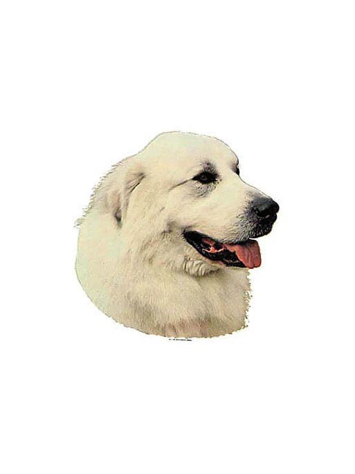 Stickers Chien Pour Voiture Ou Vitre 2 Stickers Chien Pour Voiture Ou Vitre – Image 2