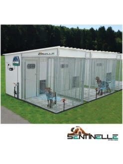 Système Sentinelle - Anti-aboiement Par Jet D'eau -Chien Produits Boutique systeme sentinelle anti aboiement par jet d eau 2