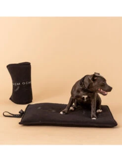 Tapis Nomade Pour Chien 40x60 GEM -Chien Produits Boutique tapis nomade pour chien 40x60 gem habitat chien 2