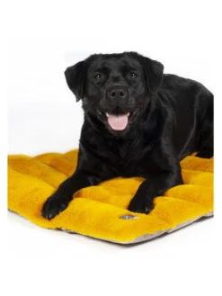 Tapis Pour Chien Anam Cara Travel HKM -Chien Produits Boutique tapis pour chien anam cara travel hkm 2