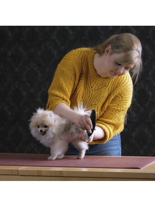 Tondeuse De Finition Prima Moser 1 Tondeuse De Finition Prima Moser